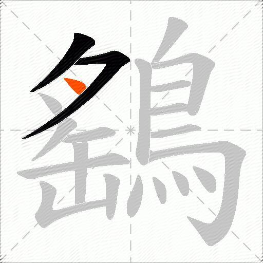 鷂