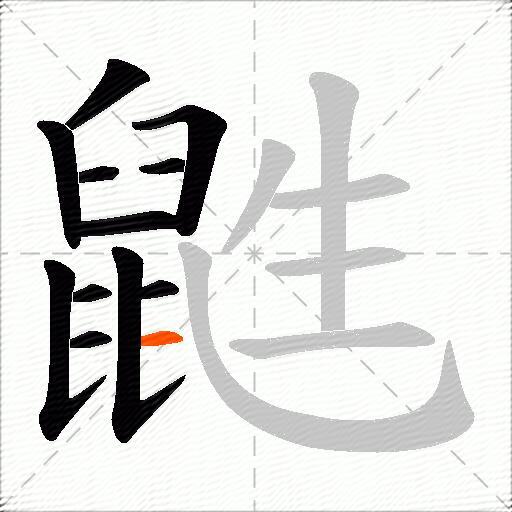 鼪