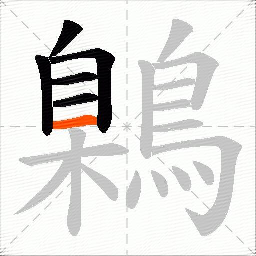 鷍