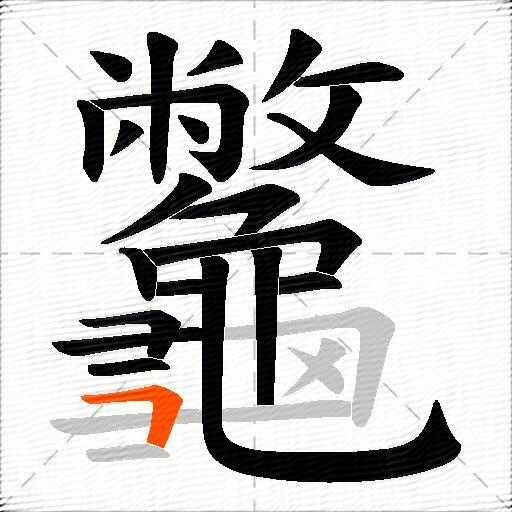龞