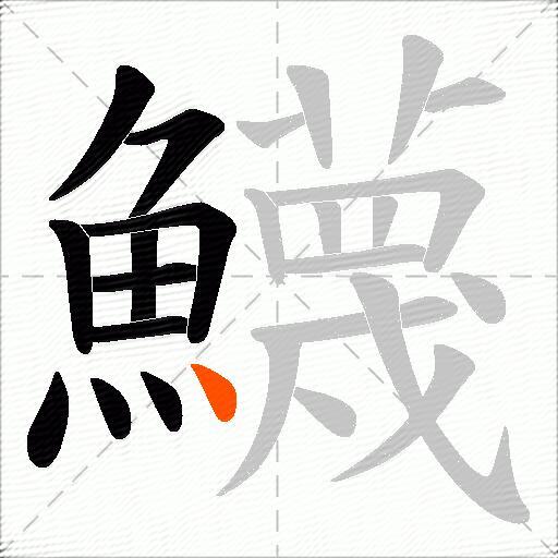 鱴