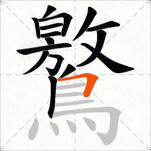 鸄