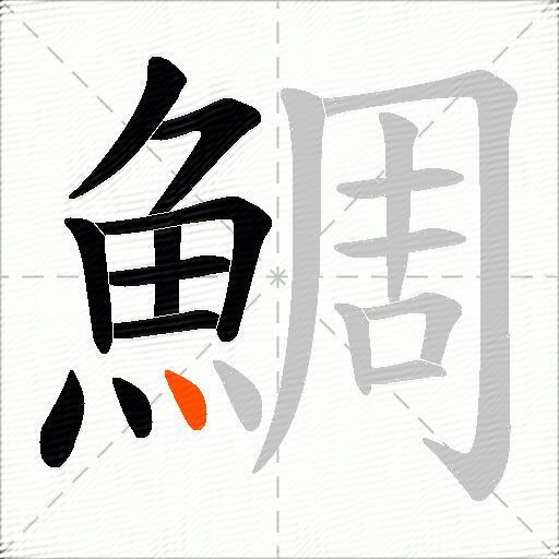 鯛
