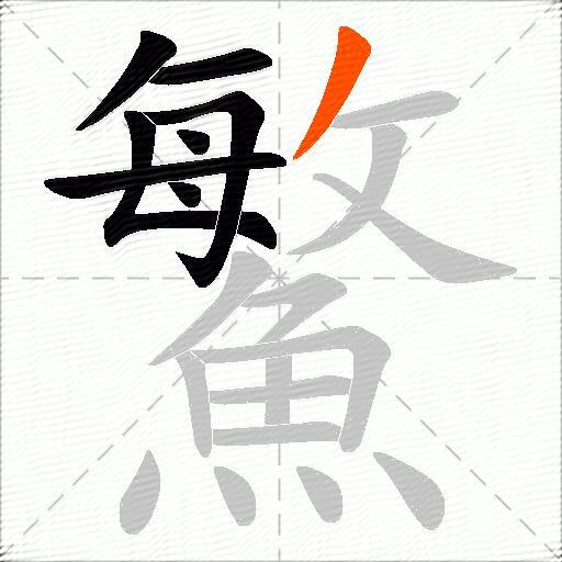 鰵