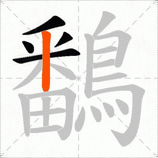 鷭