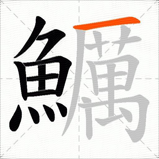 鱱