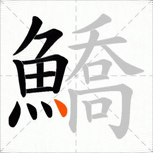鱎