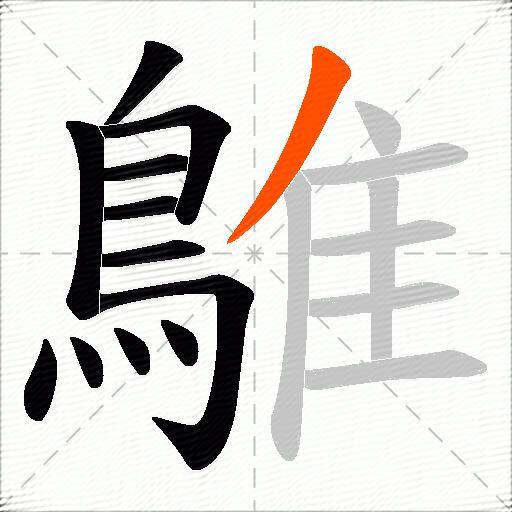 鵻