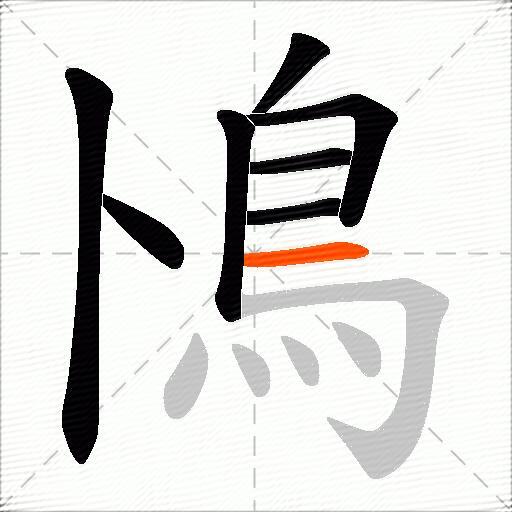 鳪
