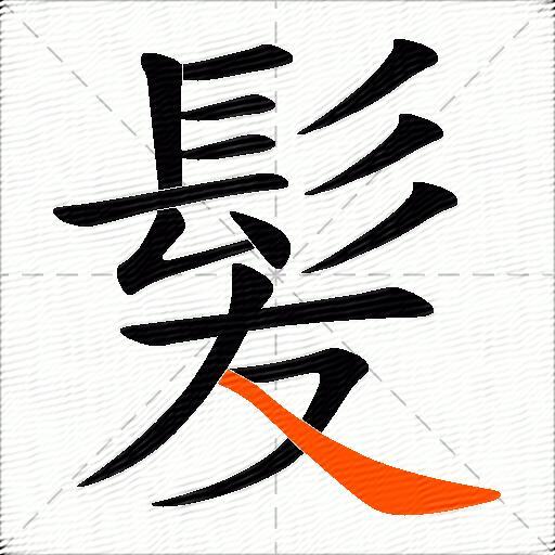 髪