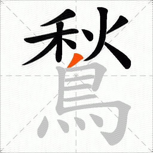 鶖