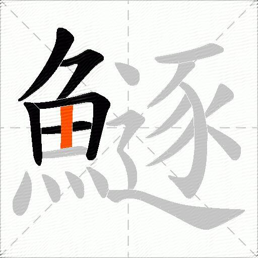 鱁