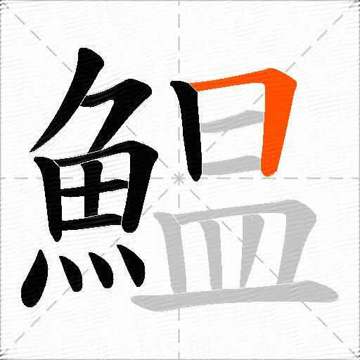 鰛