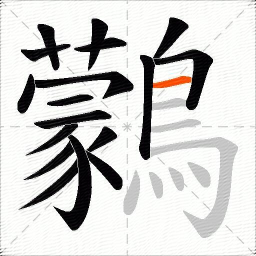 鸏