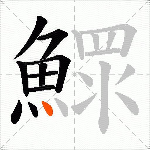 鰥