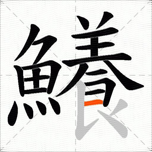 鱶