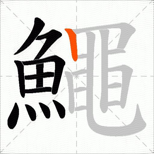 鱦