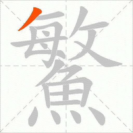 鰵