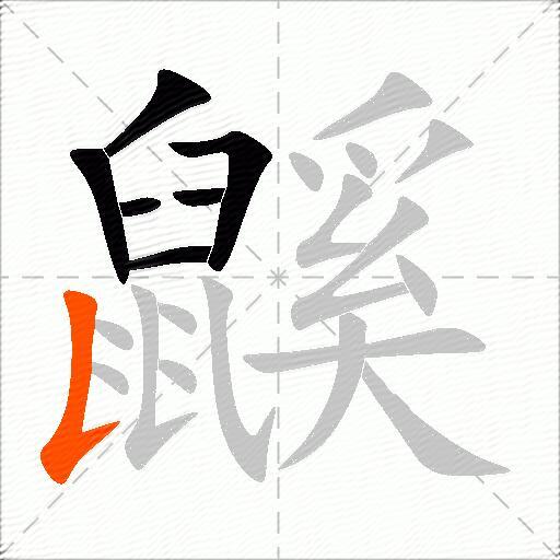 鼷