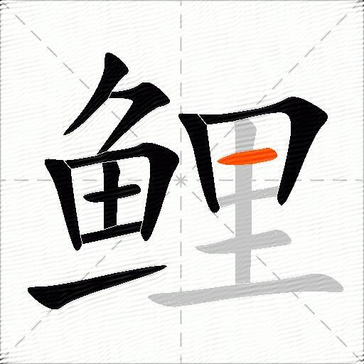 鲤