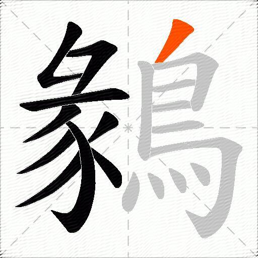 鶨