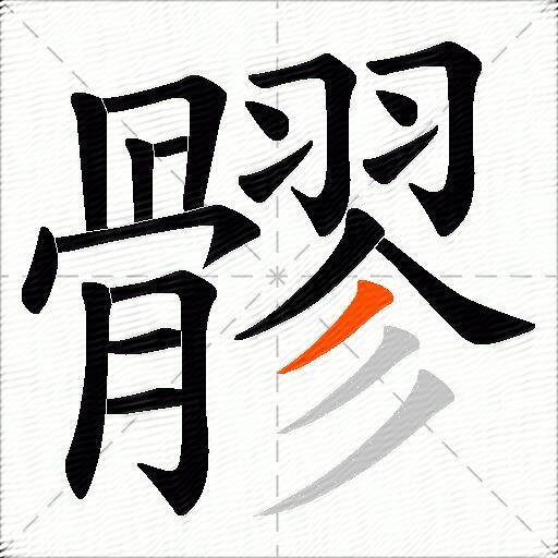 髎