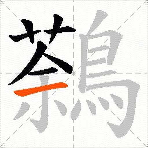 鷋