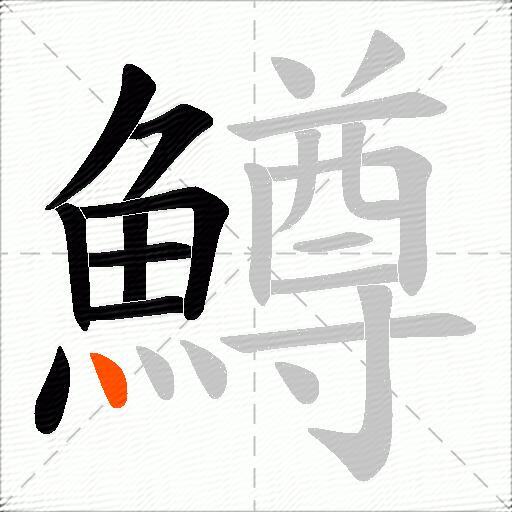鱒