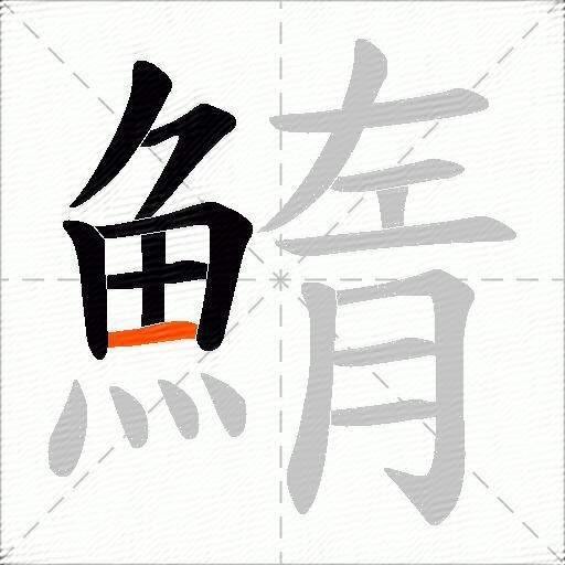 鰖