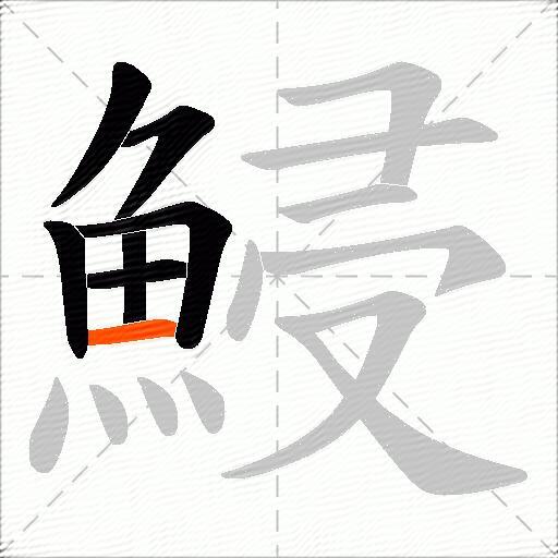 鮼