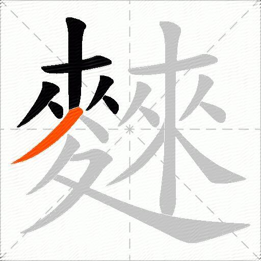 麳