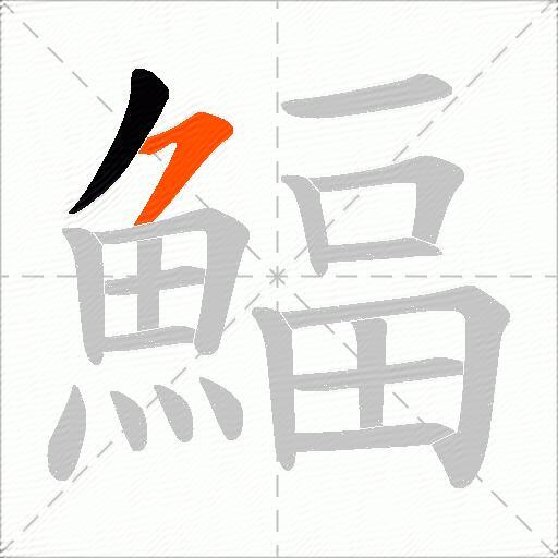 鰏