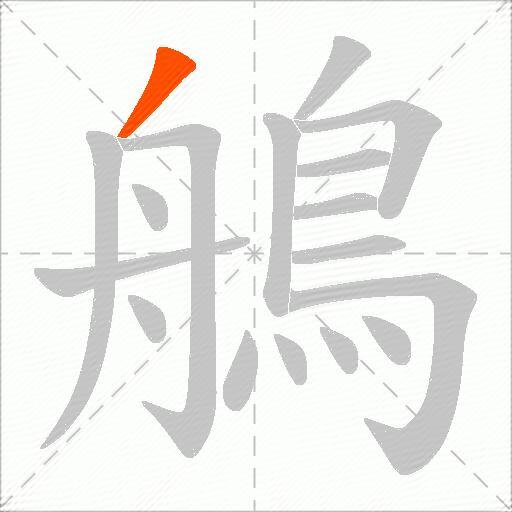 鵃