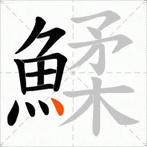 鰇
