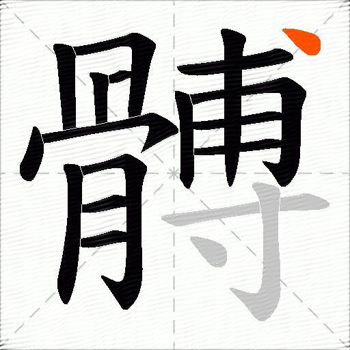 髆