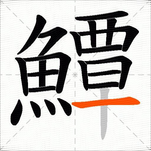 鱏