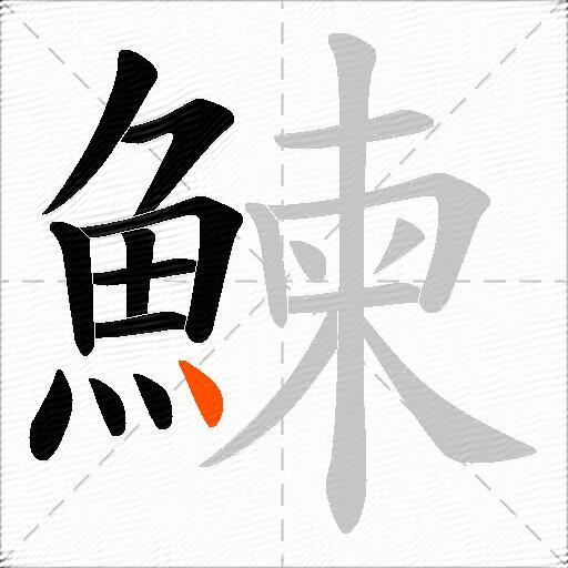鰊