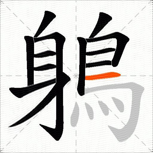鵢
