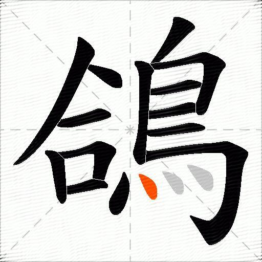 鴿