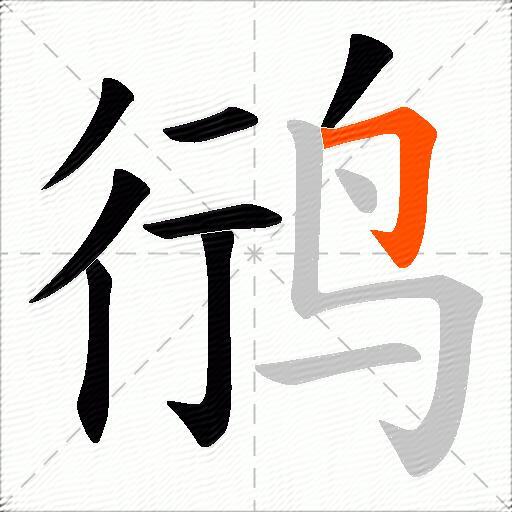 鸻