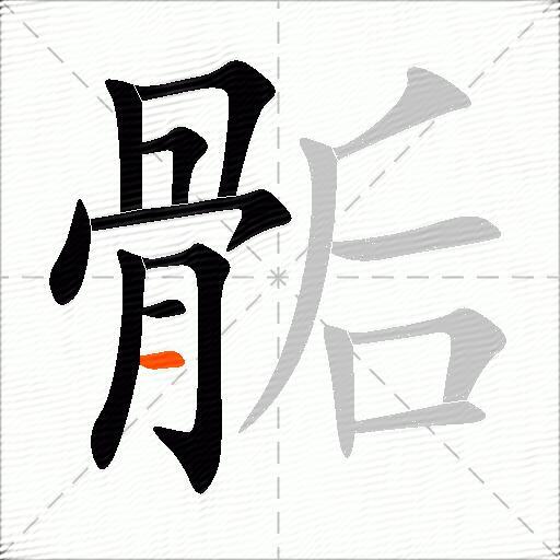 骺