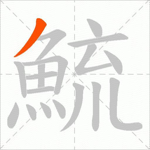 鯍