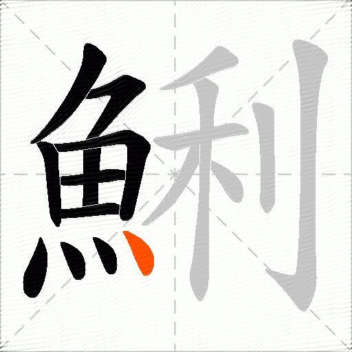 鯏