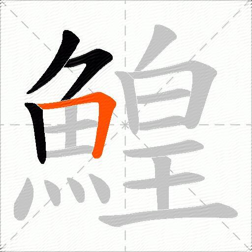鰉