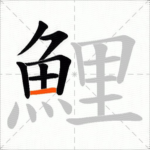 鯉