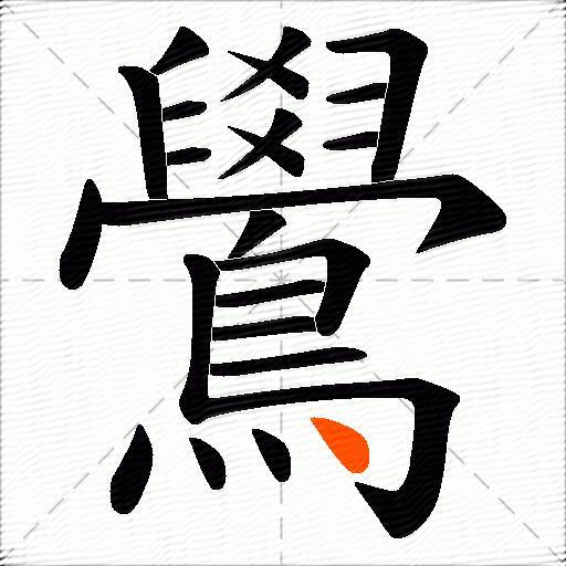 鷽