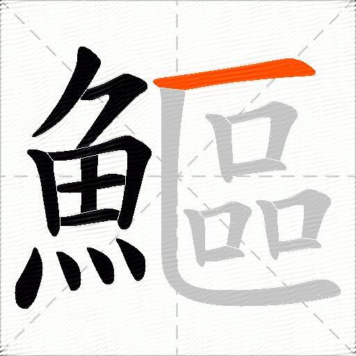 鰸