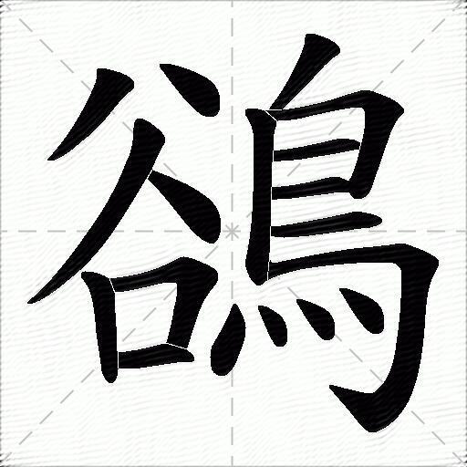 鵒