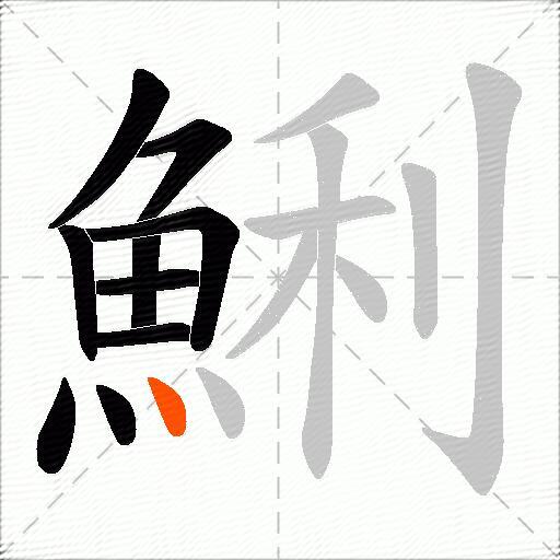 鯏