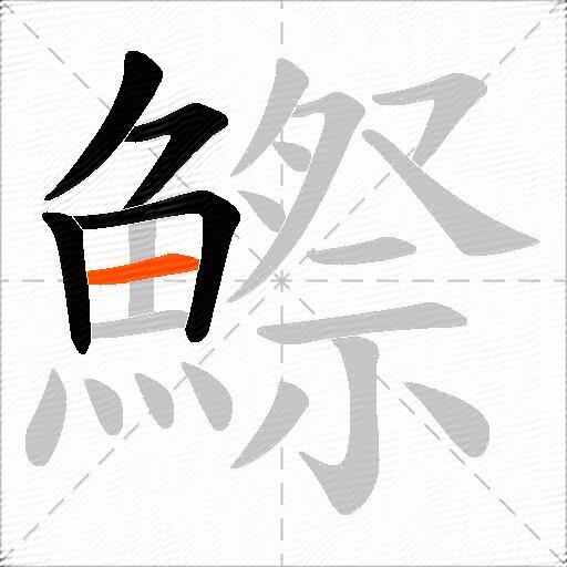 鰶